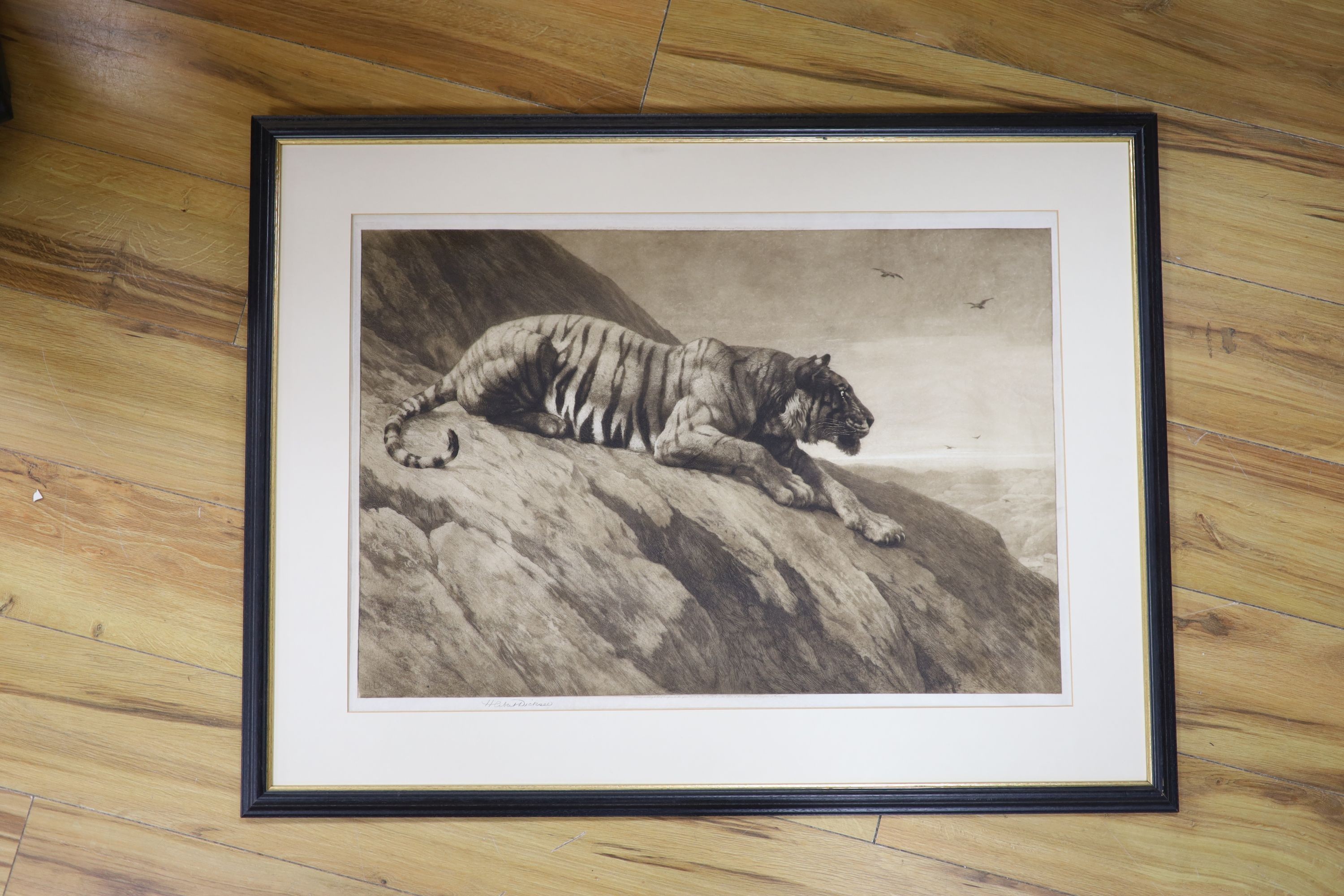 Herbert Thomas Dicksee (1862-1942), etching, Stalking tiger, signed in pencil, 46 x 69cm